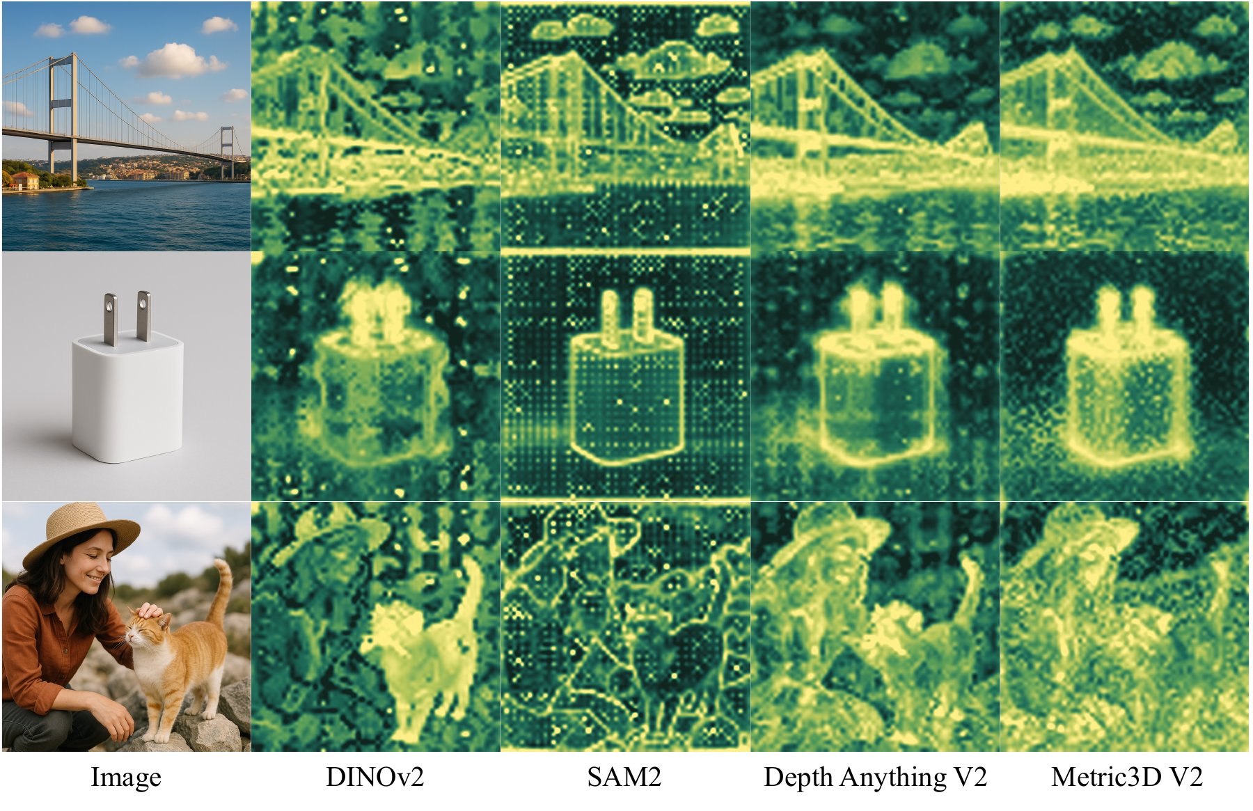 Per-patch feature magnitude maps of DINOv2, SAM2, Depth Anything V2 and Metric3D V2 for three images.